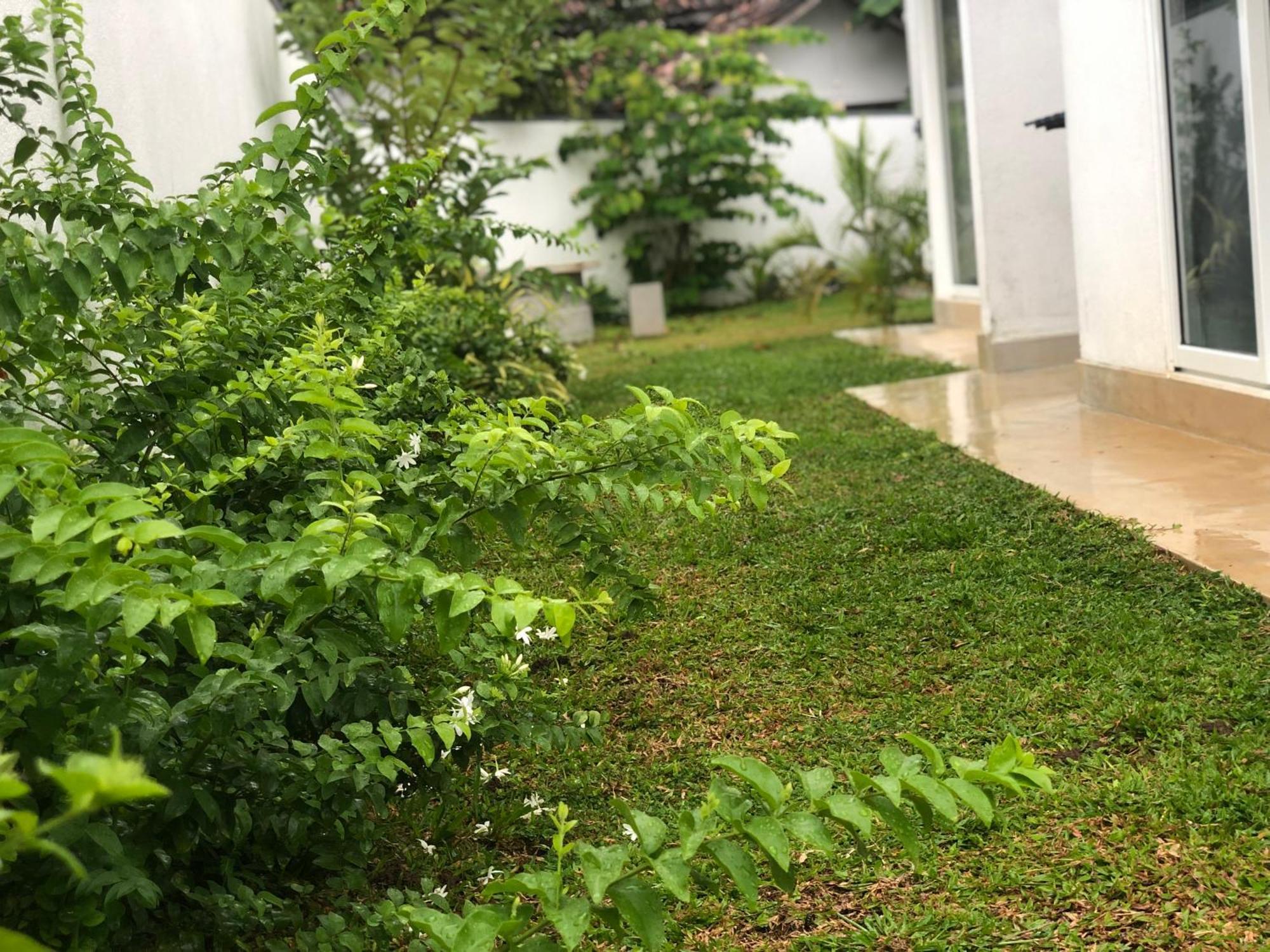 Luvi'S Villa Galle Exteriör bild